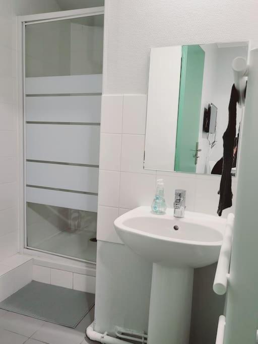 Appartement Proche Disneyland Parc Asterix "Appart'4" ピエールフィット・シュル・セーヌ エクステリア 写真